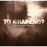 To What End? ‎– Concealed Below The Surface